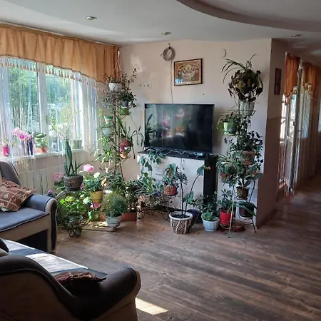 зумер Krivorovnya