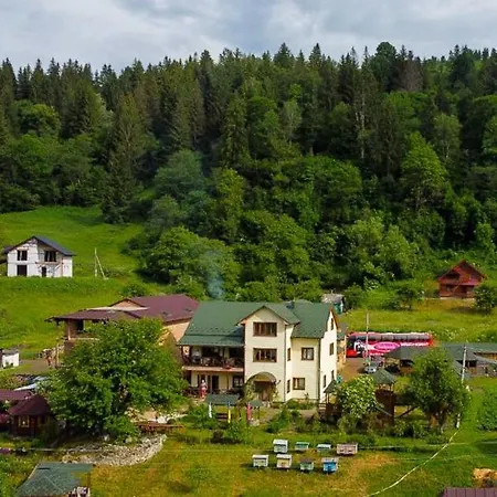 зумер Hotel Krivorovnya
